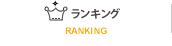 ランキング/RANKING